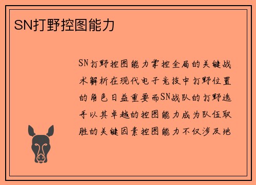 SN打野控图能力
