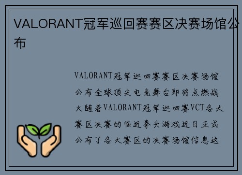 VALORANT冠军巡回赛赛区决赛场馆公布