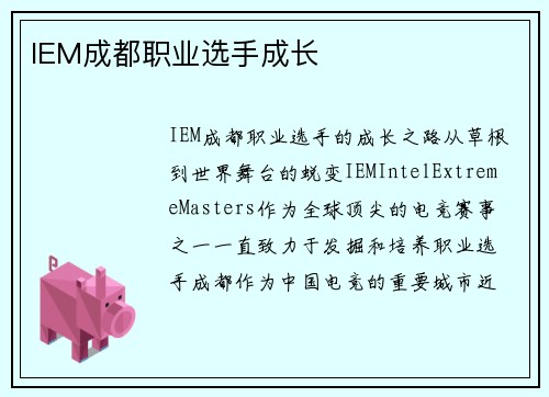 IEM成都职业选手成长