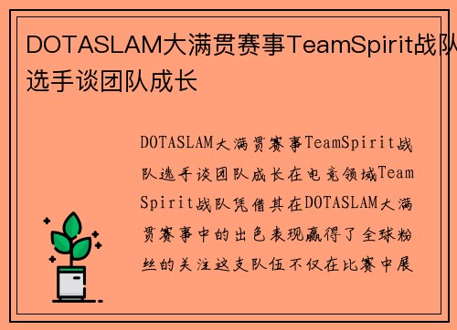 DOTASLAM大满贯赛事TeamSpirit战队选手谈团队成长